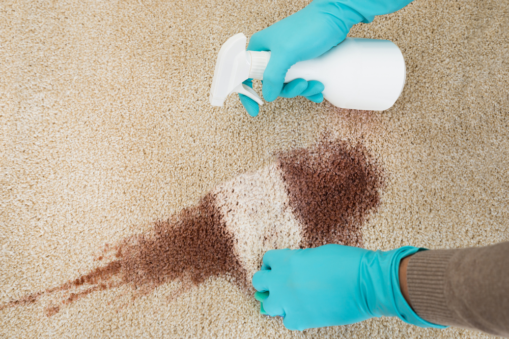 Carpet Stain Removal Tips: Keep Your Carpets Looking Like New